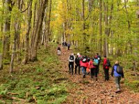 Zloty Lisc 2021 (31)